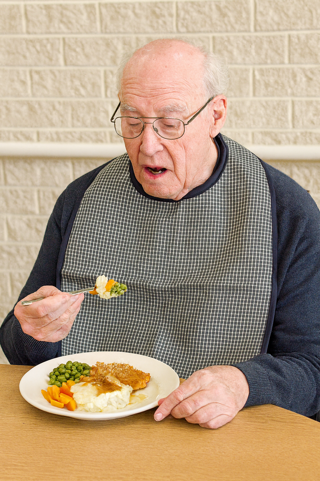 Long mealtime protectors - check