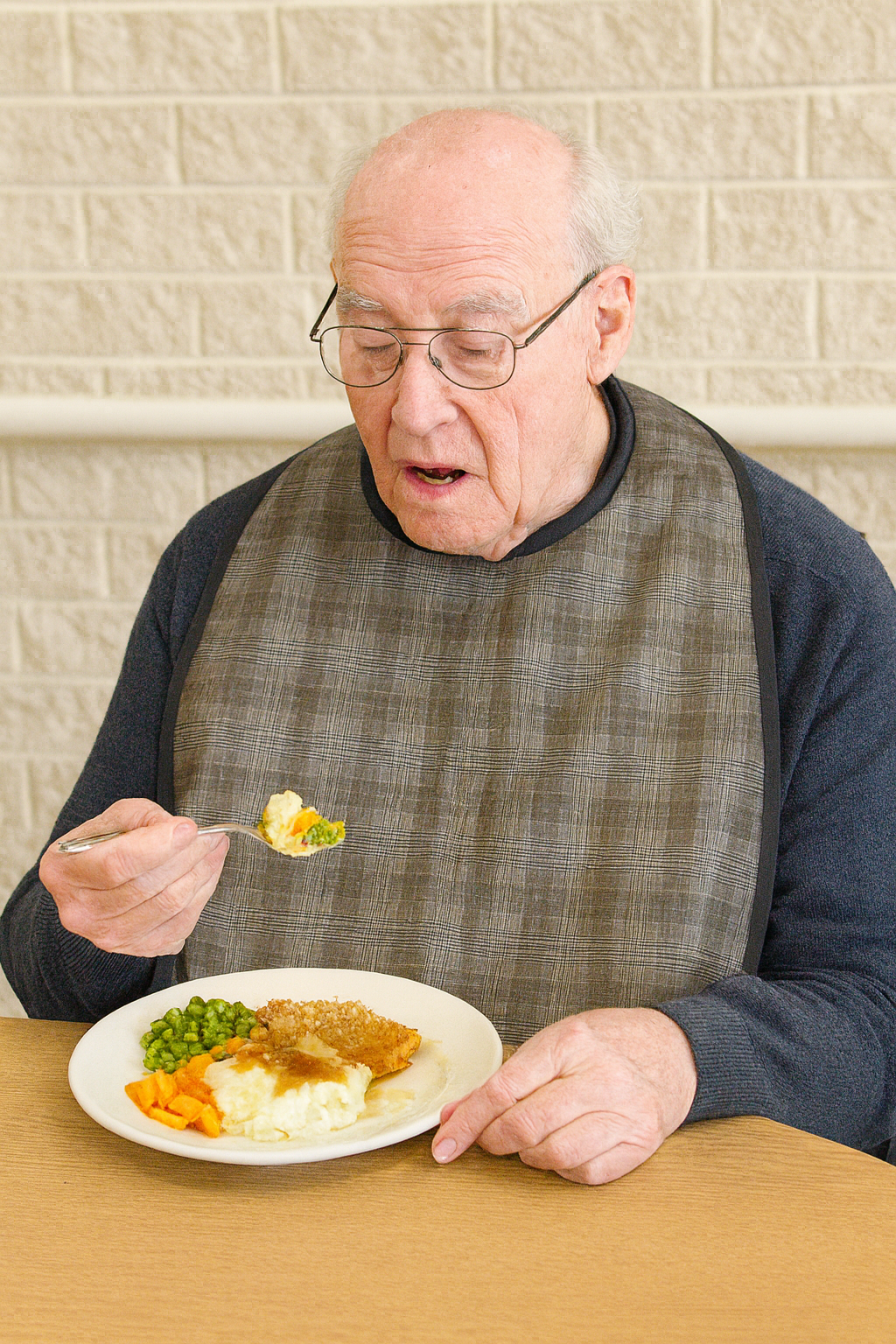 Long mealtime protectors - check